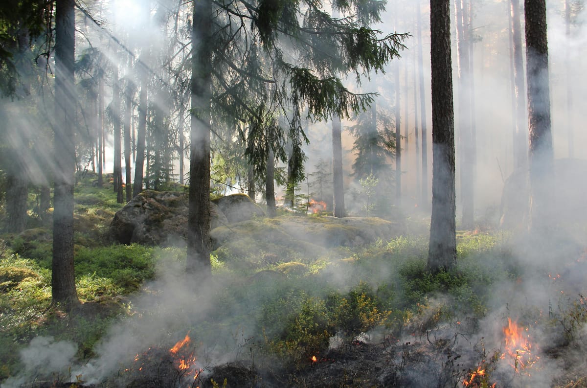 Wildfires Spread Across Finland Amid Extreme Dry Conditions and High Winds